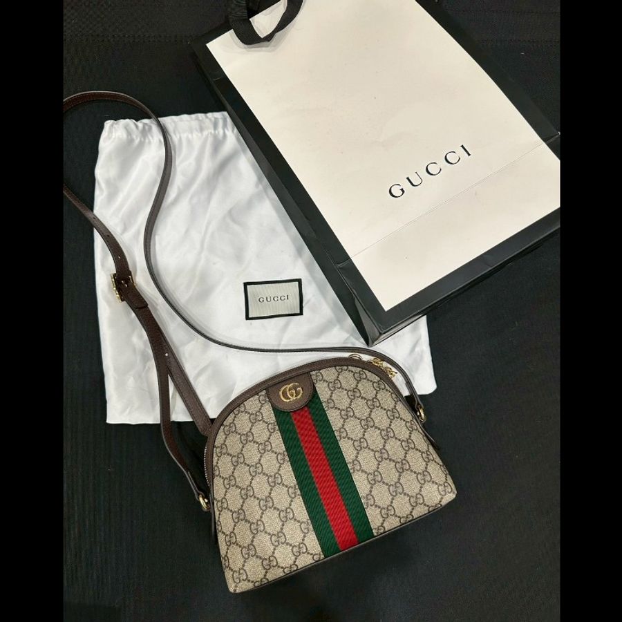 Gucci 老花貝殼包-14