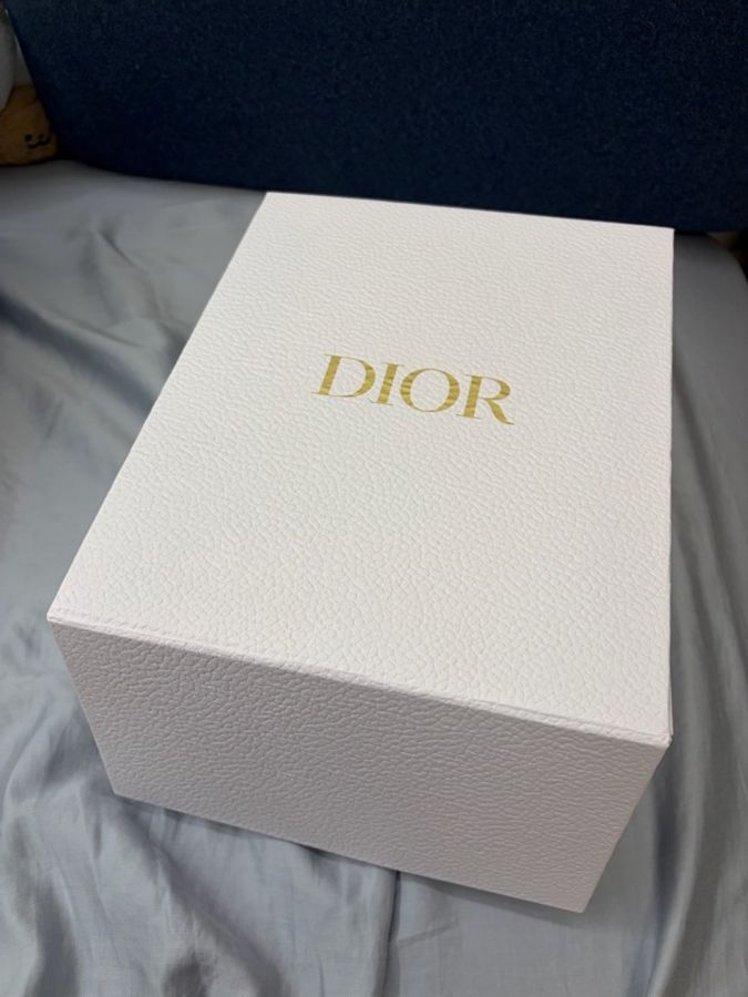Dior Lady D joy小號奶茶色-14