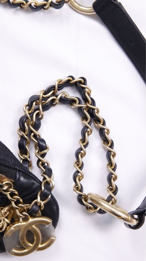 Chanel 19年埃及高级手工坊系列珍珠皮穿链腰包-3
