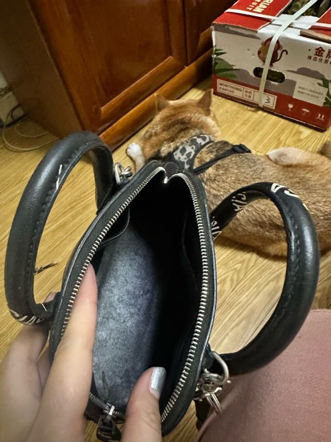 巴黎世家balenciaga貝殼包logo滿版-9