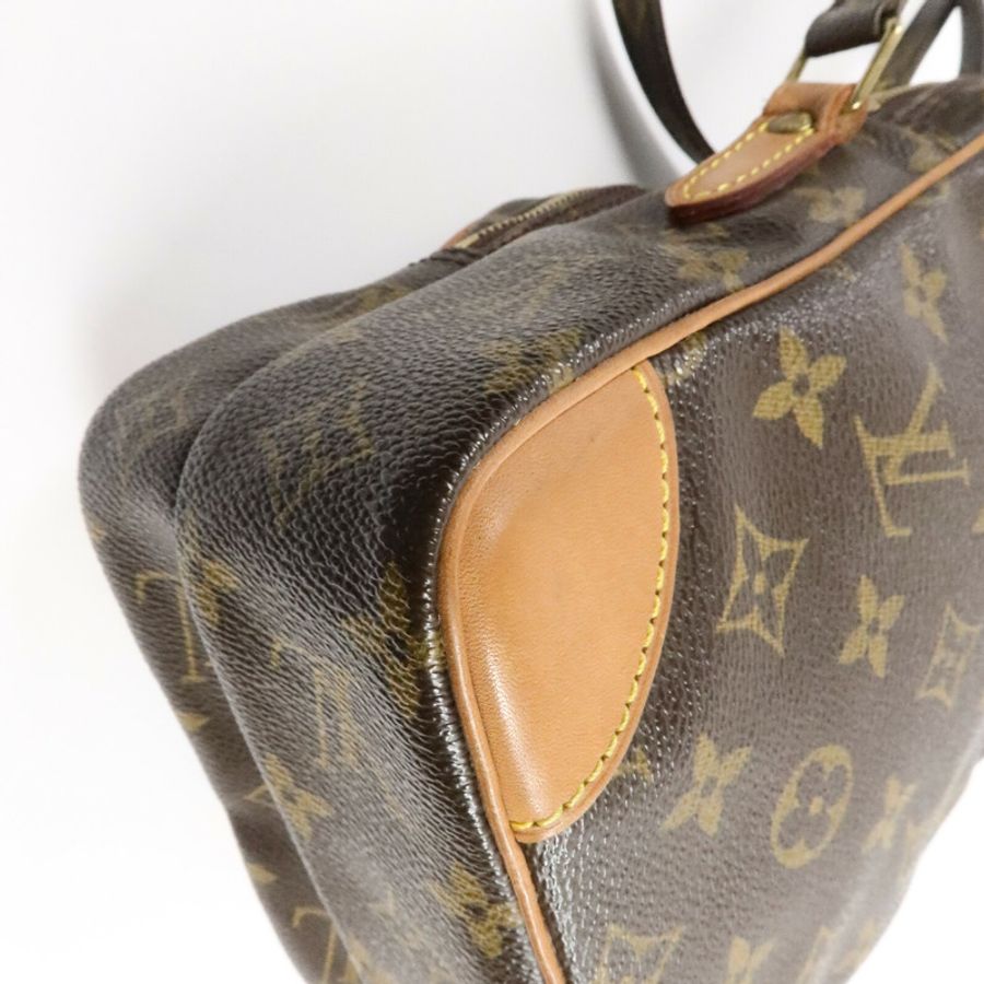 LOUIS VUITTON Monogram Amazon肩背袋-12