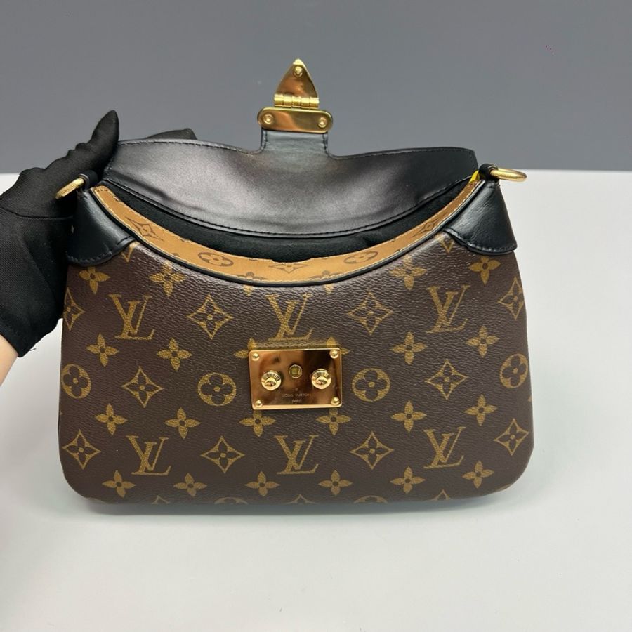 Louis Vuitton路易威登老花拼色Twinny新款牛角包 芯片款-6