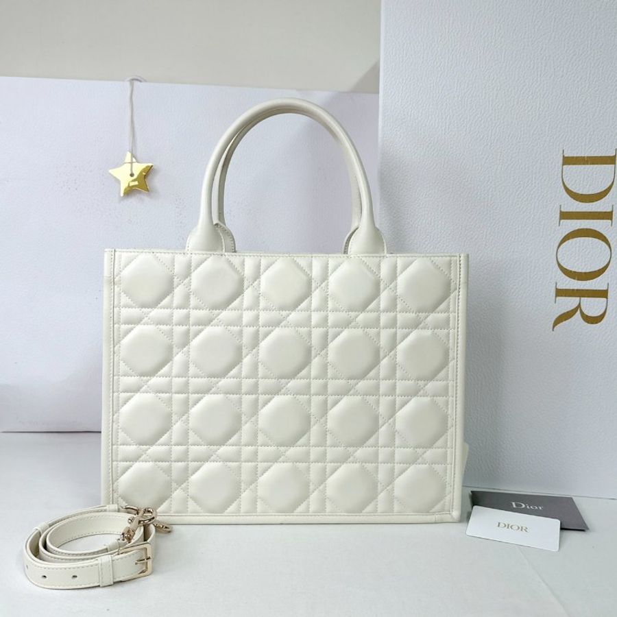 DIOR Book Tote中款五格黛妃托特包-1