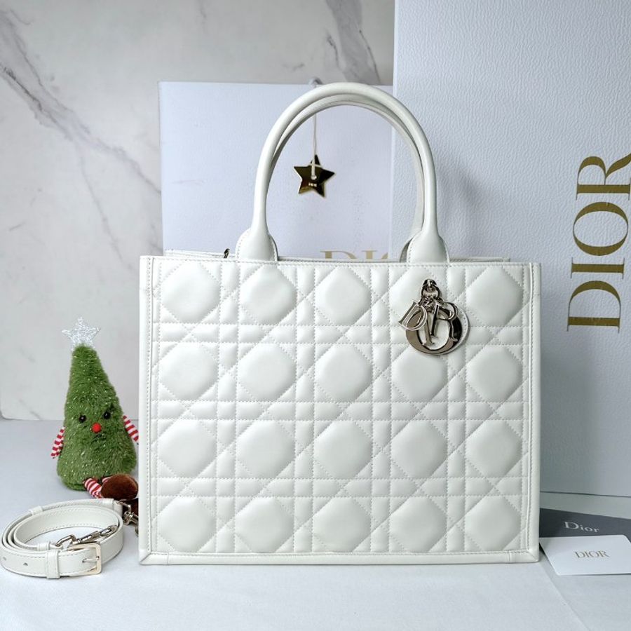 Dior Book Tote中款托特包-0