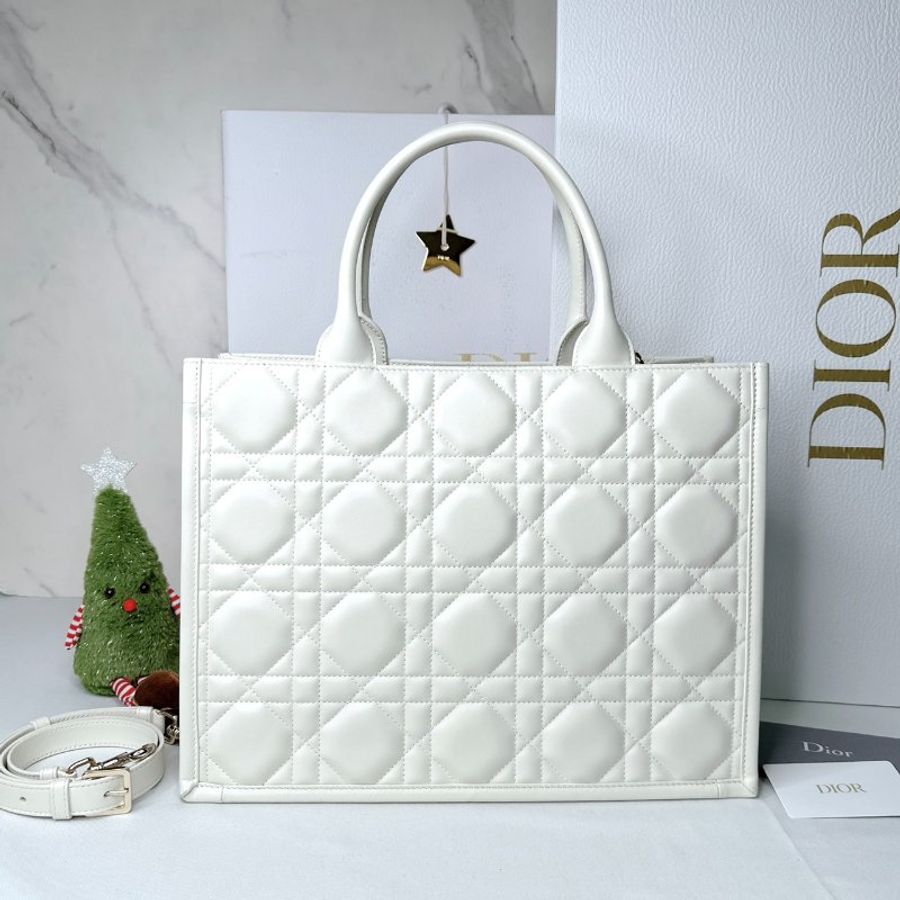 Dior Book Tote中款托特包-1