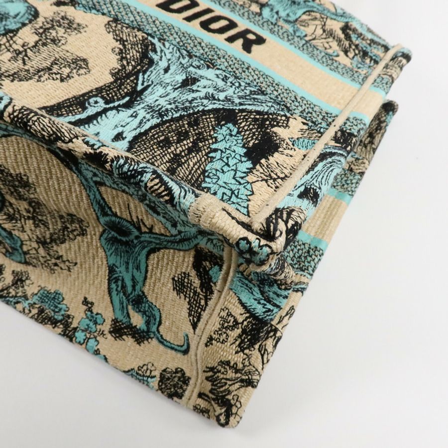 Dior 帆布Book Tote Medium肩背袋-9