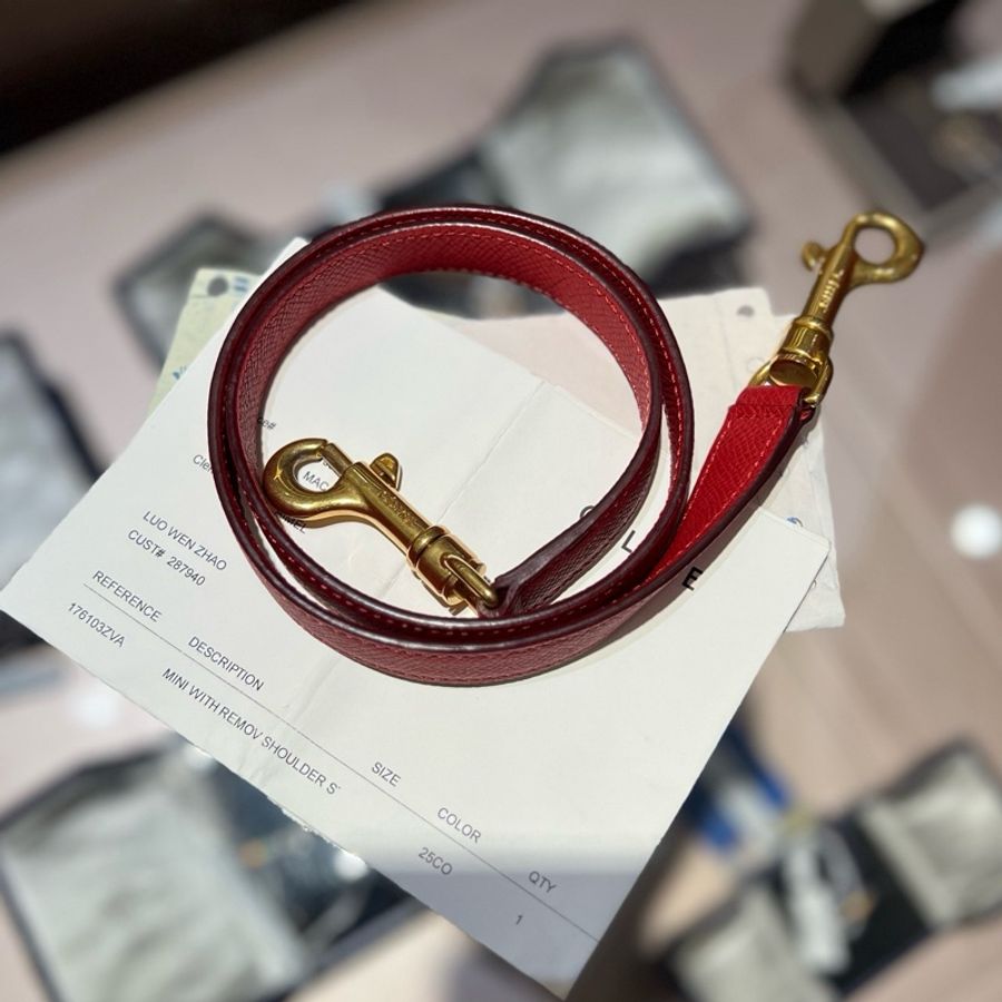 Celine mini belt紅色鲶鱼大号-8