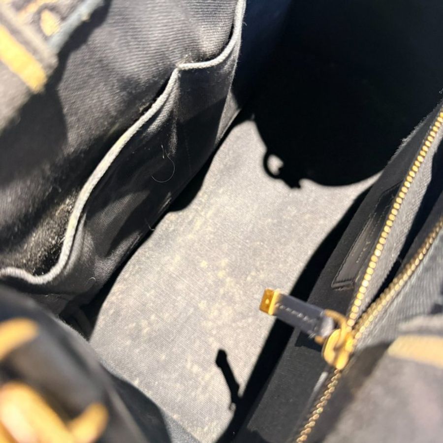 Dior Book Tote 小型托特包-20