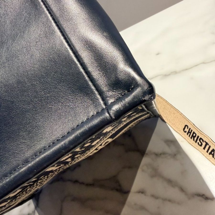 Dior Book Tote 小型托特包-12