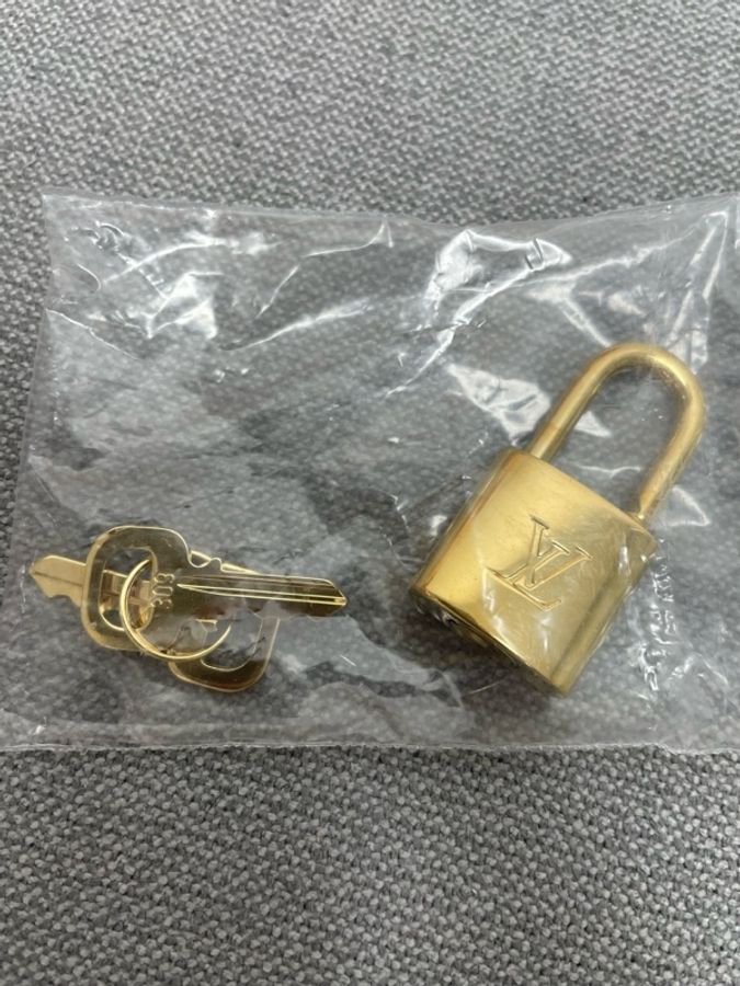 LV speedy20春夏炫彩系列,寬肩帶晶片款-15