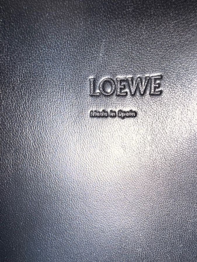 LOEWE 手拿包 T Pouch全蟒蛇皮/珍稀材質-10