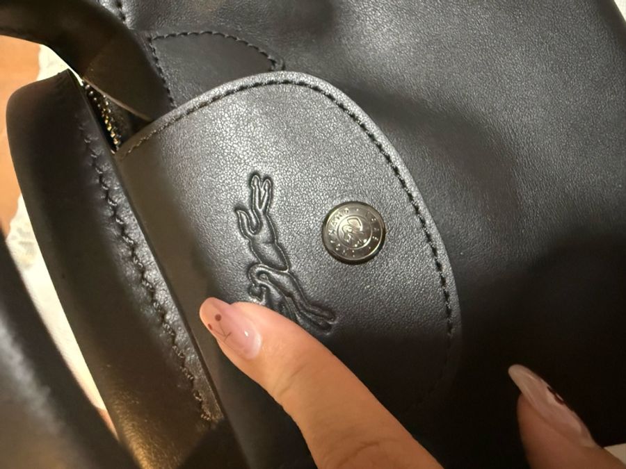 ✨全新Longchamp 牛皮餃子包✨-1