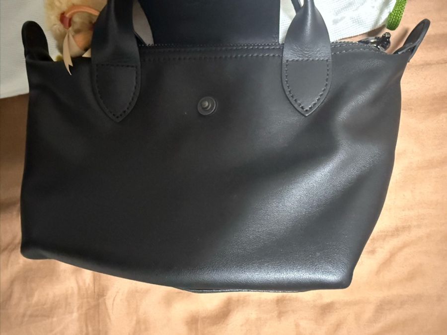 ✨全新Longchamp 牛皮餃子包✨-6