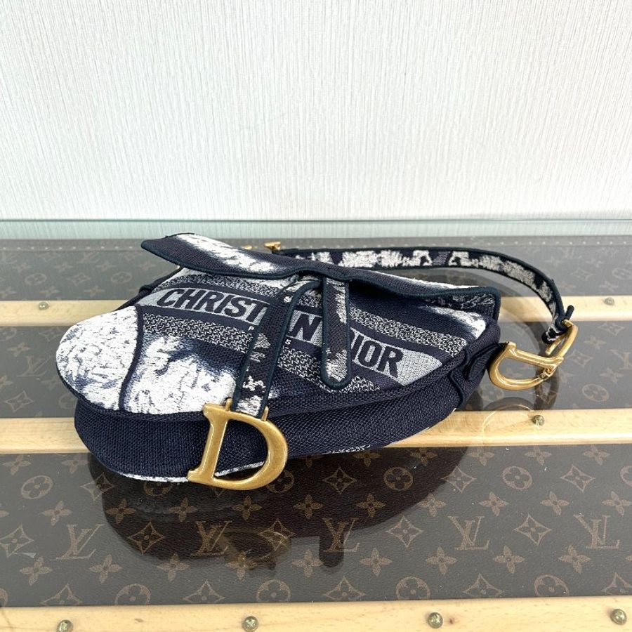 DIOR saddle限量漸變刺繡  鉚釘寬肩帶手提肩背馬鞍包 25*20*6.5 98新配件塵袋-3