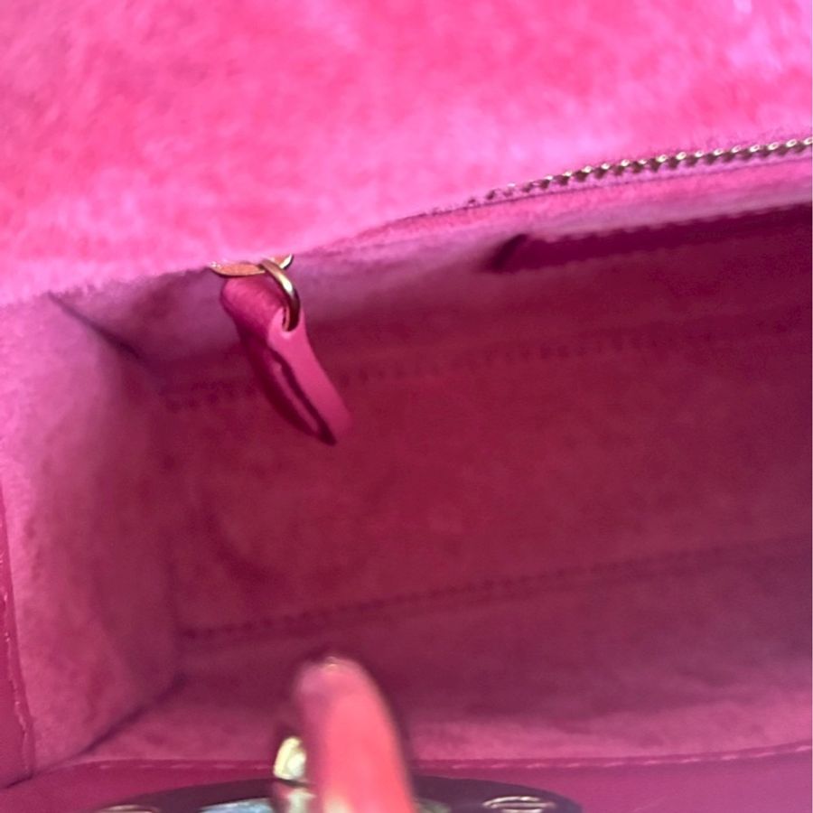 Dior 莓紅色黛妃包🎀好可愛-37