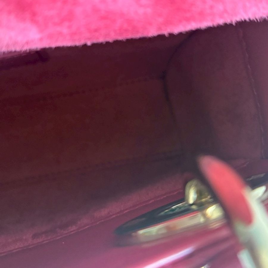 Dior 莓紅色黛妃包🎀好可愛-39