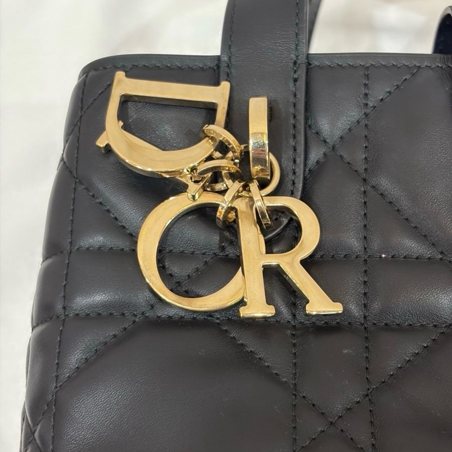 Dior/迪奧 Toujours土著黑金竪版小號 手提包斜背包-6