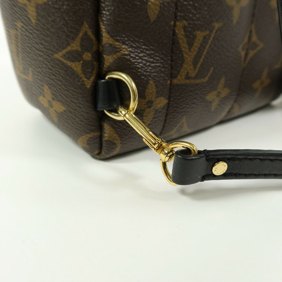 LOUIS VUITTON Monogram Palm Springs Mini背包-11