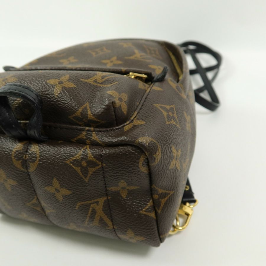 LOUIS VUITTON Monogram Palm Springs Mini背包-13
