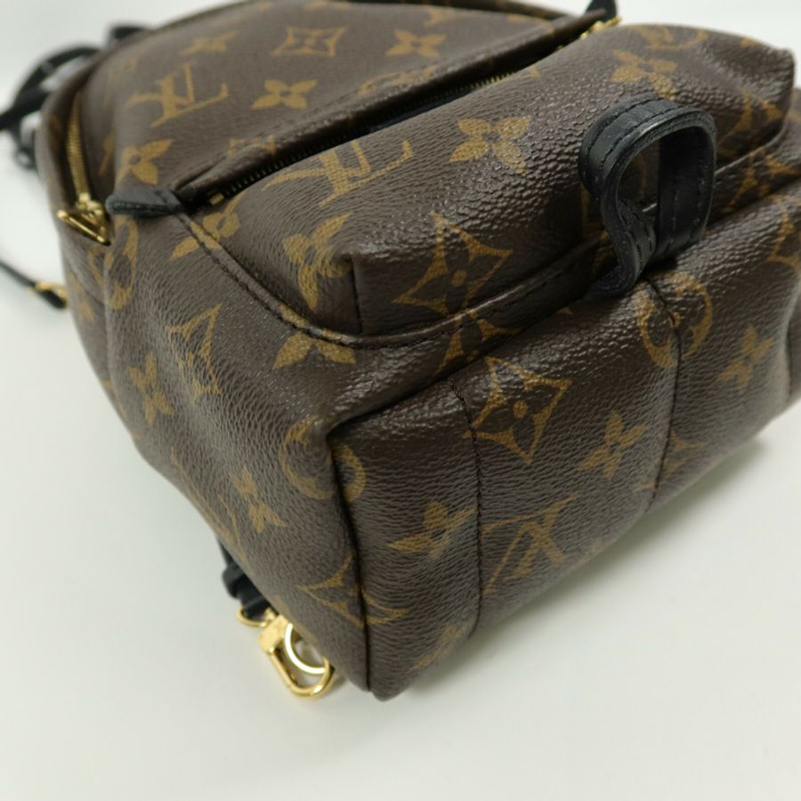 LOUIS VUITTON Monogram Palm Springs Mini背包-14