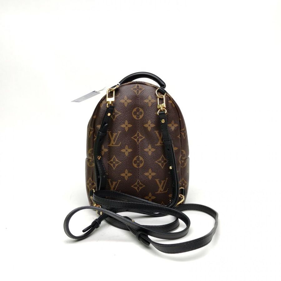 LOUIS VUITTON PalmSprings小書包Mini17老花PVC2018肩背包-2