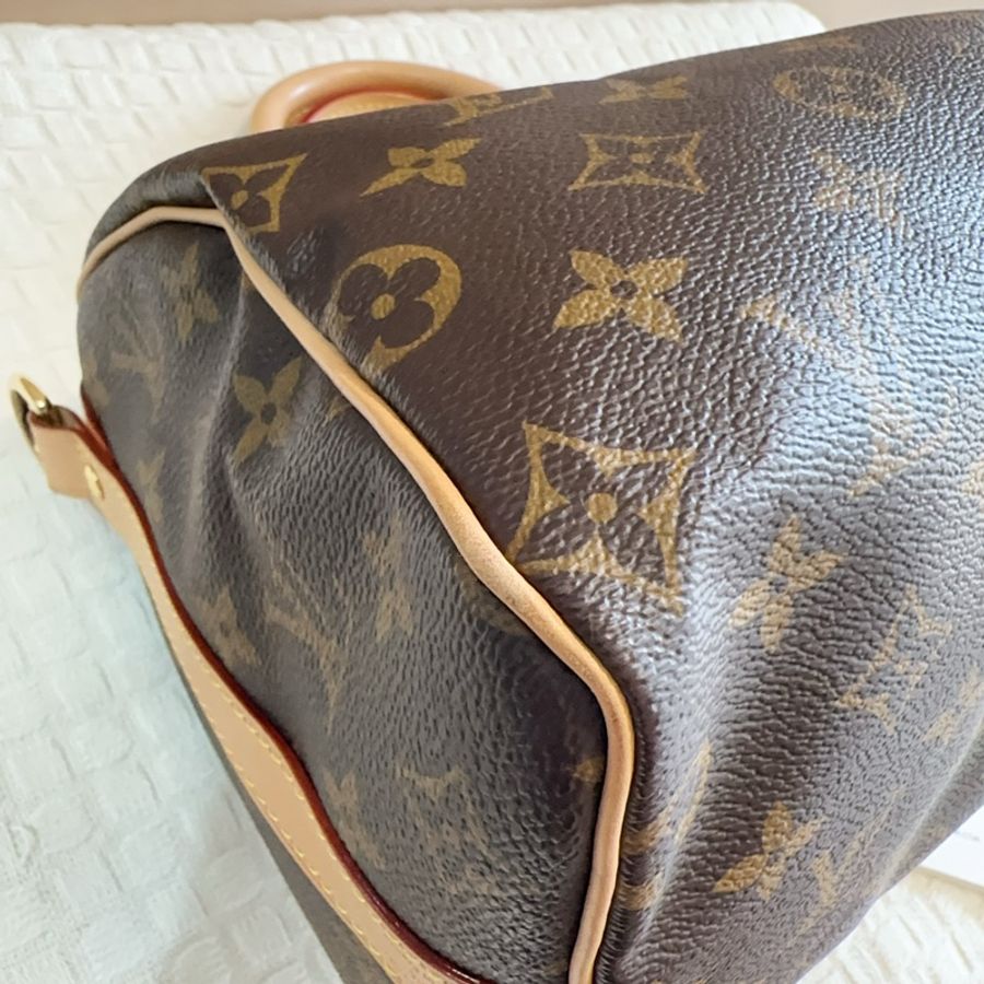 LV 原花金釦speedy 25手提波士頓包-9