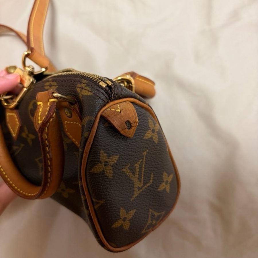 louisvuitton mini speedy-5