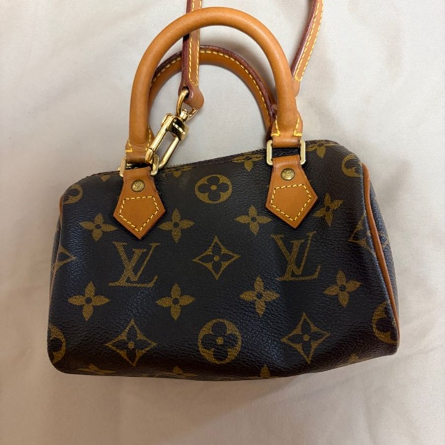 louisvuitton mini speedy-6