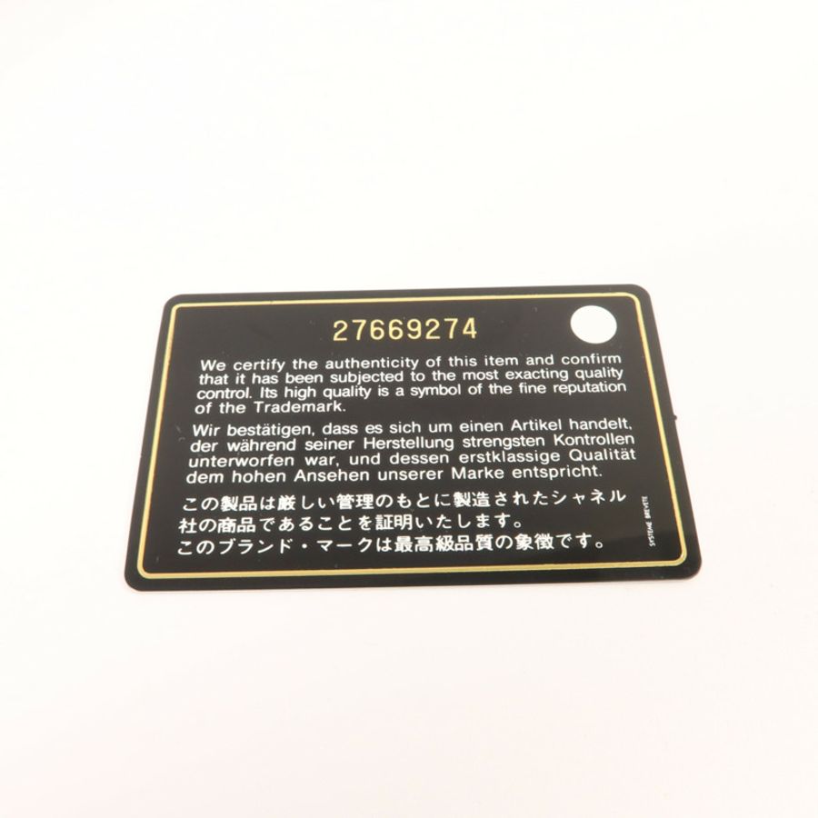 CHANEL 羊皮皮革Pouch Bag手拿包-7