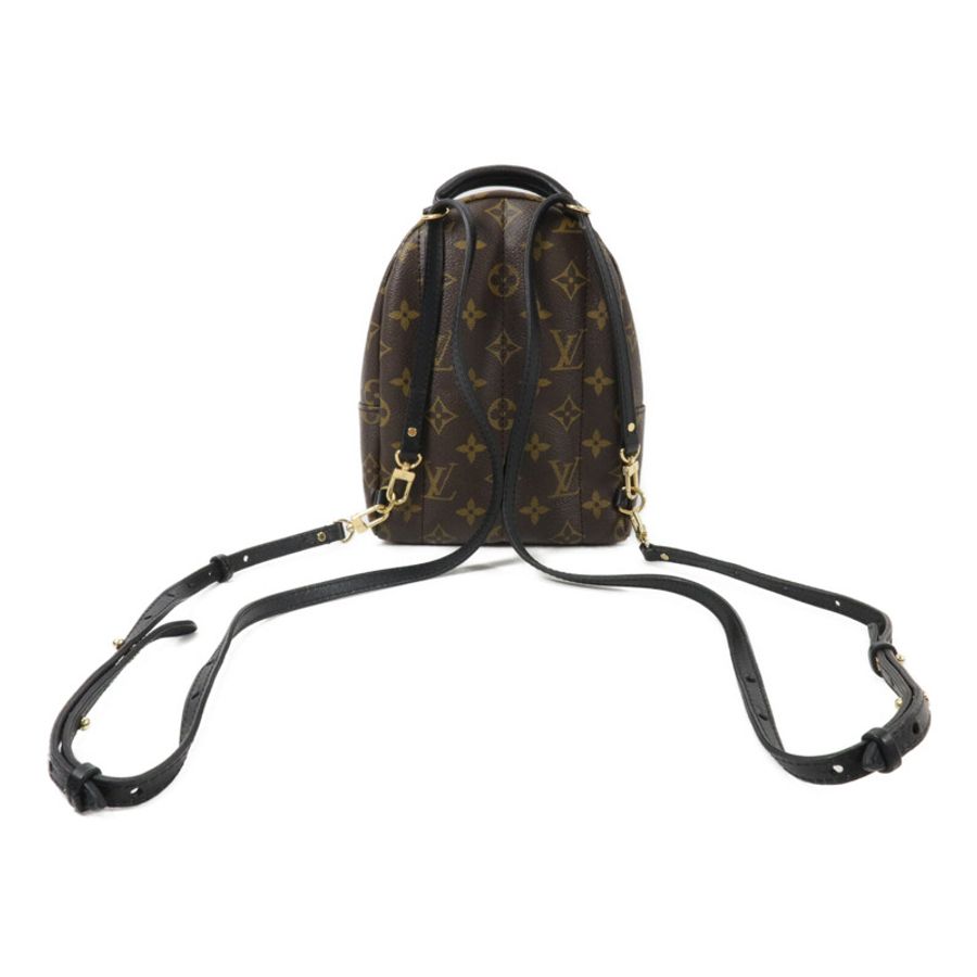 LOUIS VUITTON Monogram Palm Springs Mini背包-1