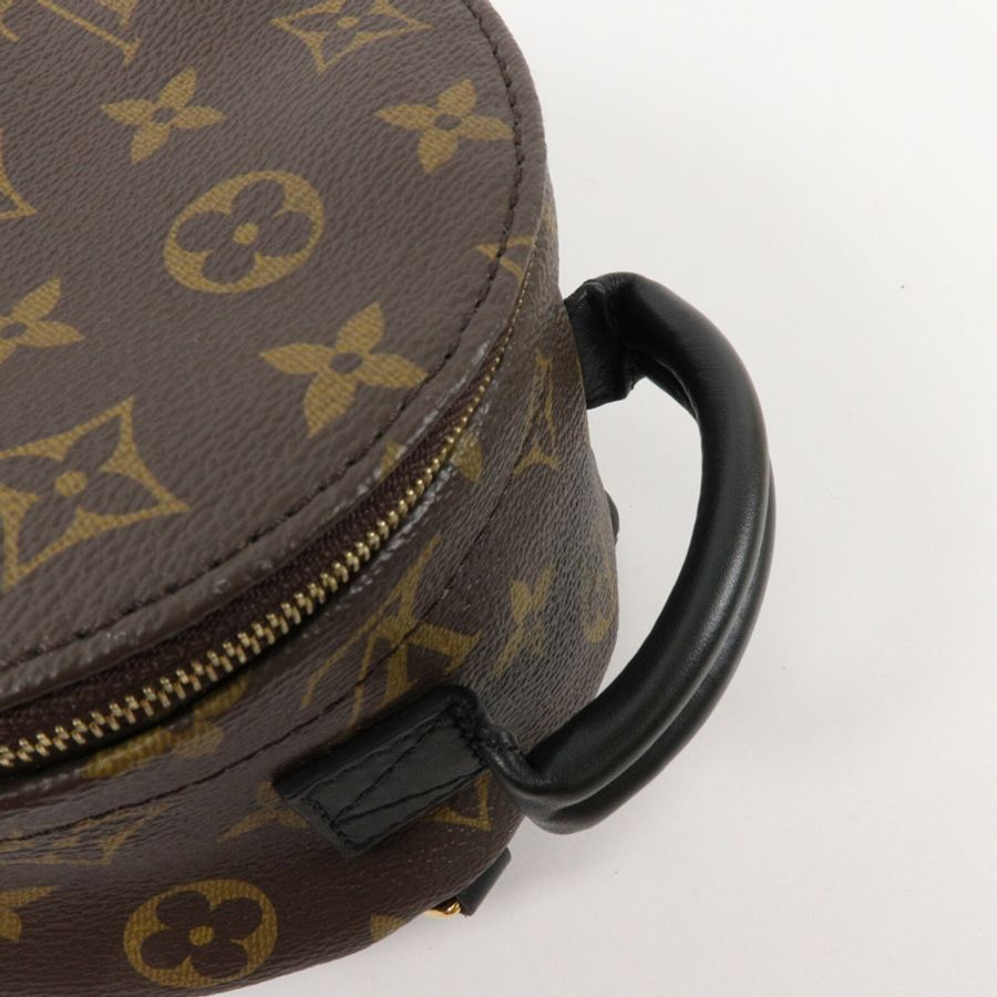 LOUIS VUITTON Monogram Palm Springs Mini背包-7