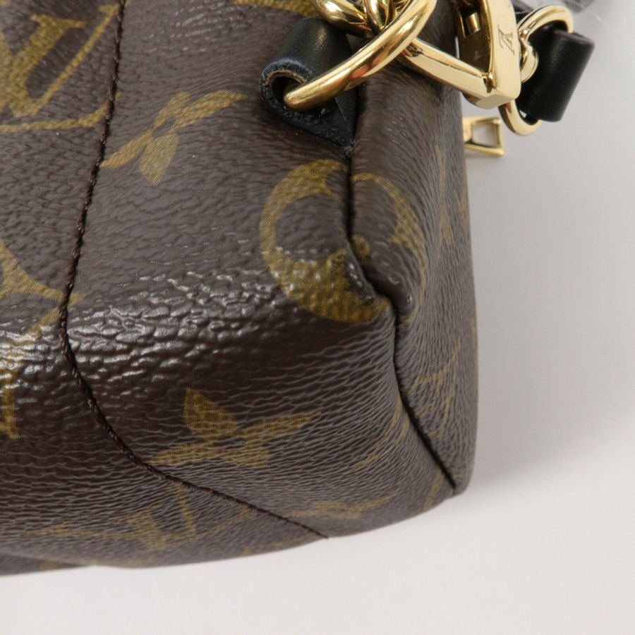 LOUIS VUITTON Monogram Palm Springs Mini背包-13