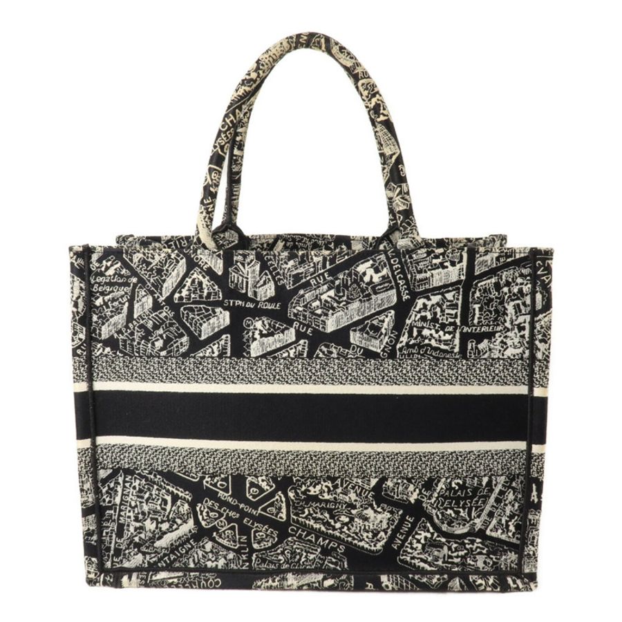 Dior 帆布Book Tote Medium手挽袋-1