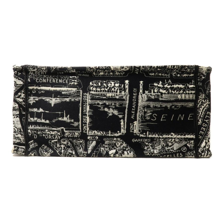 Dior 帆布Book Tote Medium手挽袋-3