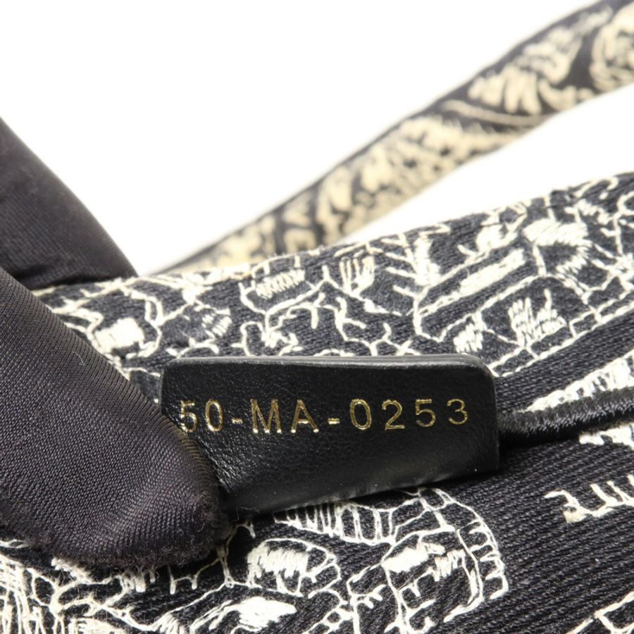Dior 帆布Book Tote Medium手挽袋-6