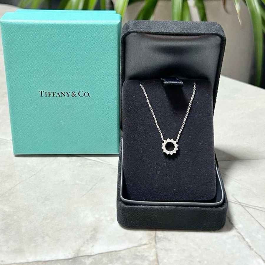 Tiffany蒂芙尼!鏤空圓形滿鑽PT950鉑金小太陽項鍊,小太陽寓意溫婉柔美圓滿幸福,鑲嵌12顆天然鑽石,附件:內外盒,-1