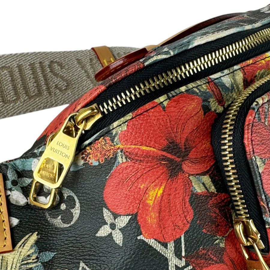 路易威登 LOUIS VUITTON Monogram Surfing Rush 腰包,塗層帆布,多色,男士 M24992 z10530-6