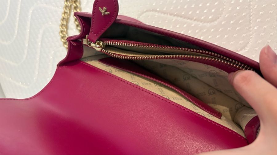Pinko Love Bag 桃紅色燕子金扣鍊包-5