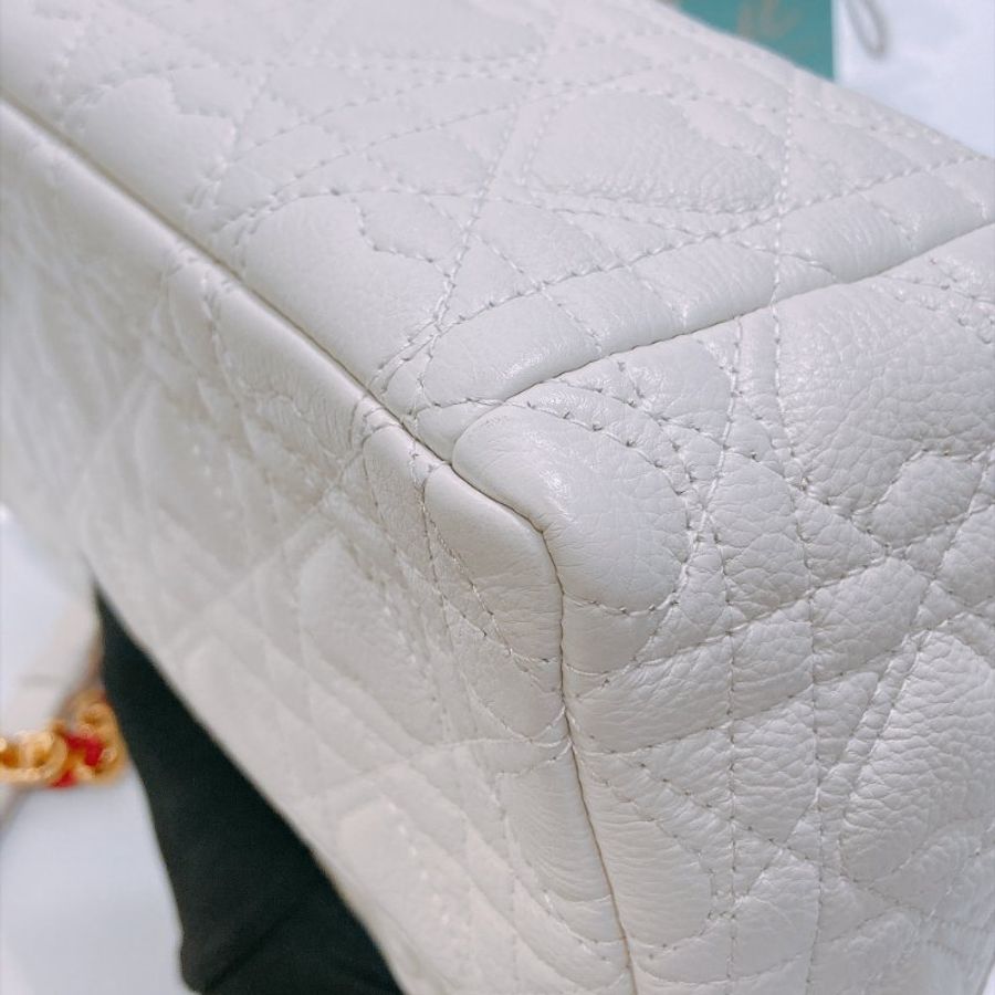 TW4938 Christian Dior 迪奧Caro手袋 中號小牛皮 Caro Bag Medium Calfskin White-7