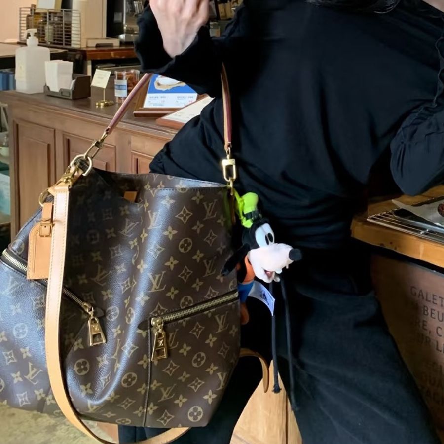 ⭐️五星推薦⭐️ LV hobo bag M41544-0