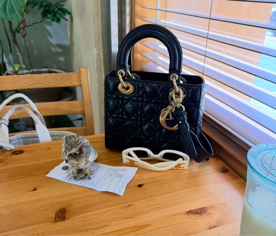 Dior 迪奧小碼 Lady Dior My ABCDior 手袋-1