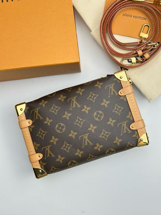 Louis Vuitton 路易威登 谷愛凌中號 芯片款 附件:肩帶 塵袋-1