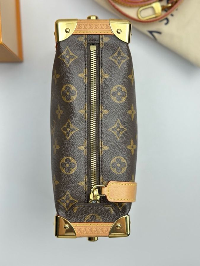 Louis Vuitton 路易威登 谷愛凌中號 芯片款 附件:肩帶 塵袋-2