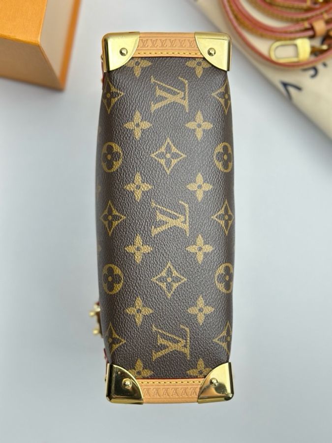 Louis Vuitton 路易威登 谷愛凌中號 芯片款 附件:肩帶 塵袋-3