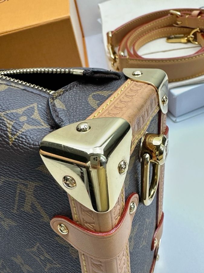 Louis Vuitton 路易威登 谷愛凌中號 芯片款 附件:肩帶 塵袋-6