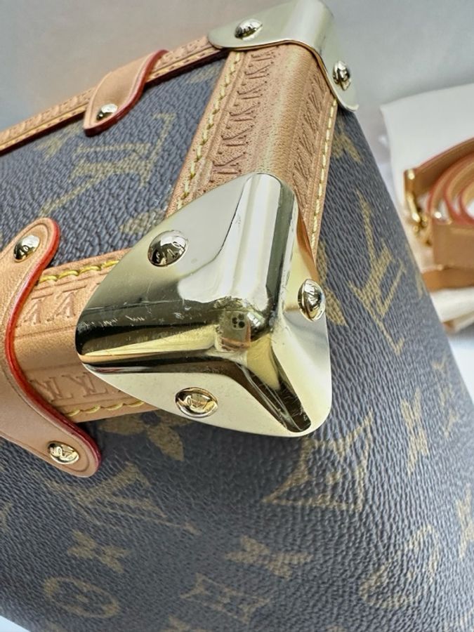 Louis Vuitton 路易威登 谷愛凌中號 芯片款 附件:肩帶 塵袋-8