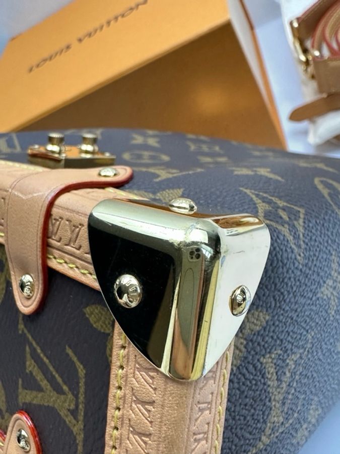 Louis Vuitton 路易威登 谷愛凌中號 芯片款 附件:肩帶 塵袋-9