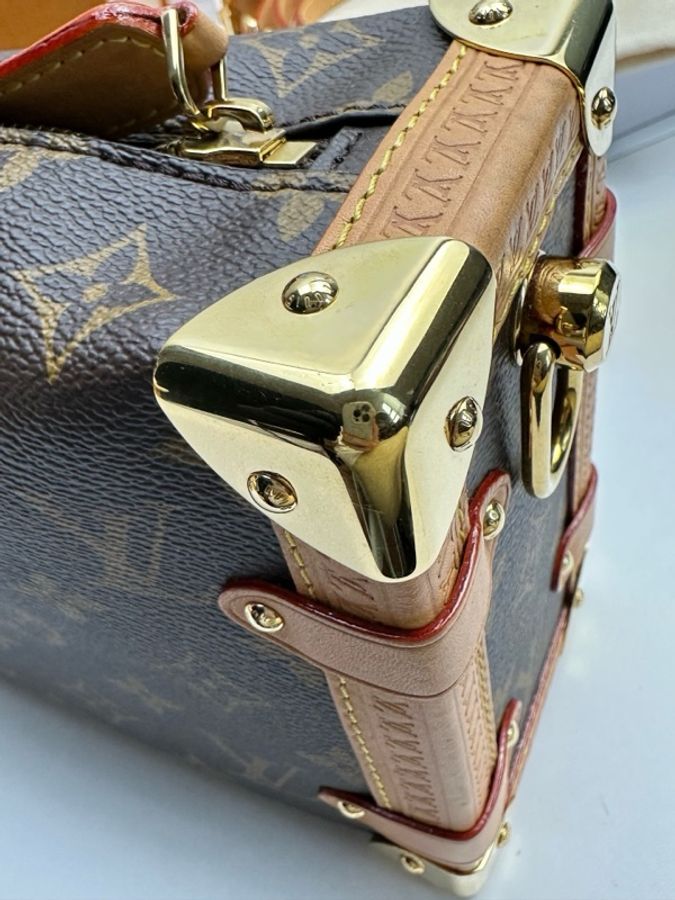 Louis Vuitton 路易威登 谷愛凌中號 芯片款 附件:肩帶 塵袋-10