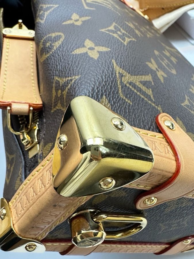 Louis Vuitton 路易威登 谷愛凌中號 芯片款 附件:肩帶 塵袋-11