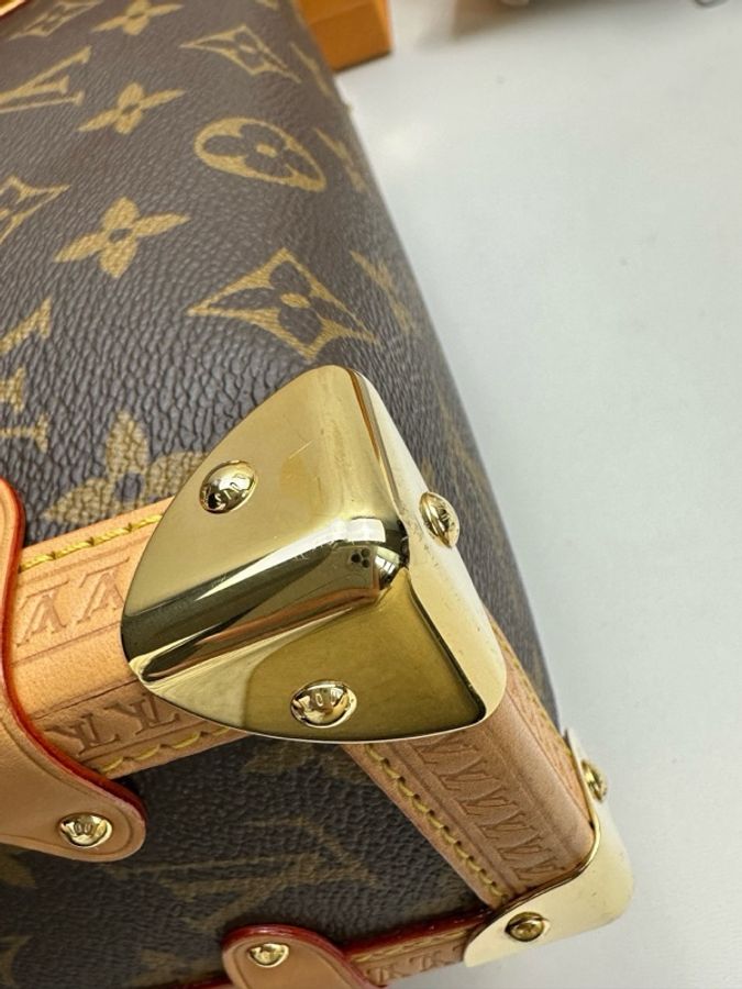 Louis Vuitton 路易威登 谷愛凌中號 芯片款 附件:肩帶 塵袋-12
